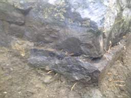Carrowmore  10370.jpg